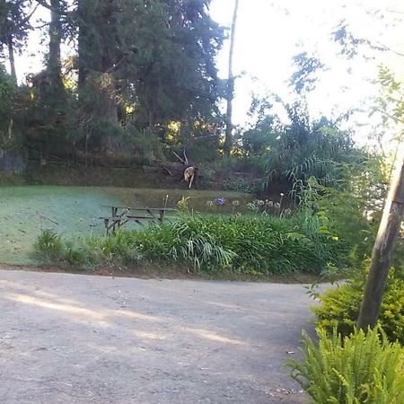 Park View Guest House Nuwara Eliya Exterior photo